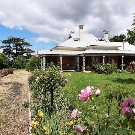 Alloway Bank Bathurst Exterior foto